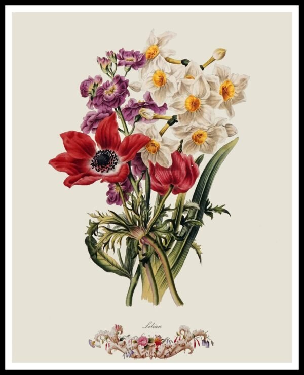 PTR JA01 Lilian (Antique Prints)